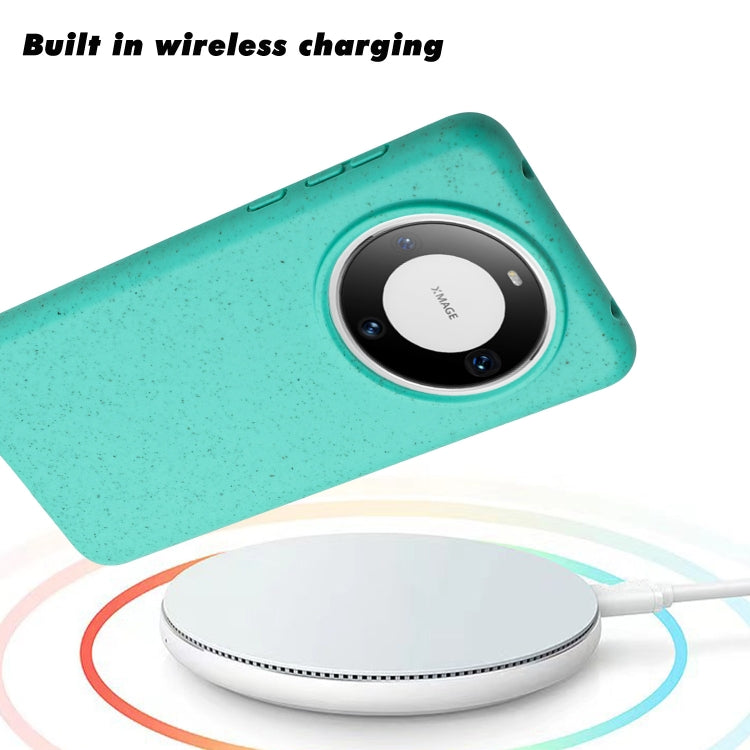 EDA005956602A_4.jpg@99c4e5a718496364d00d5950c650873b