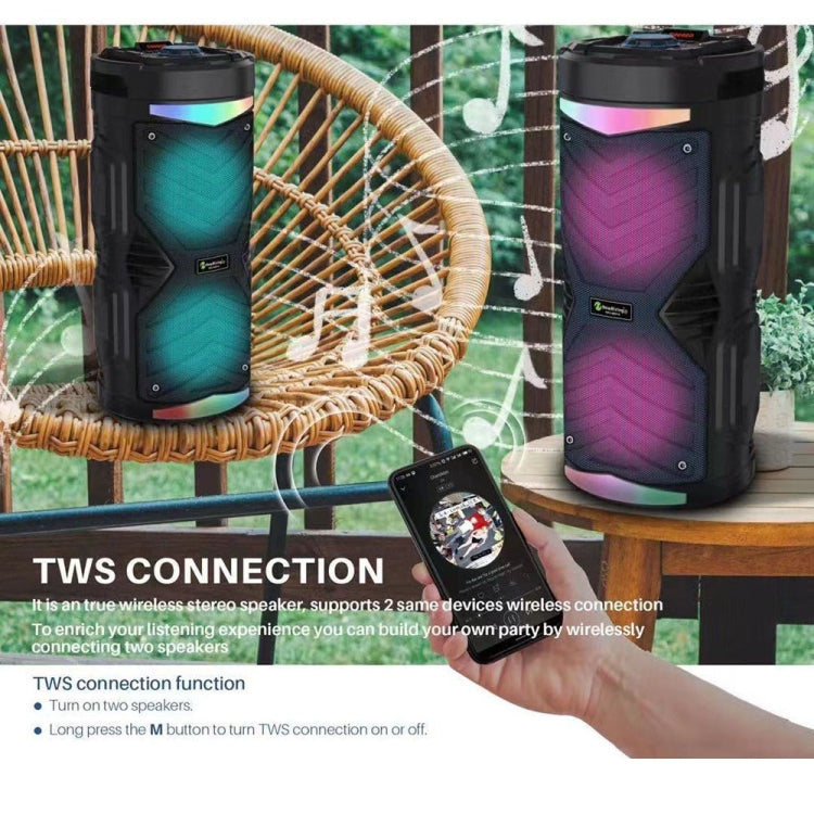 NewRixing NRG6601A Outdoor Portable Karaoke Wireless Speaker 20W Audio Amplifier With Mic(A) - Desktop Speaker by NewRixing | Online Shopping South Africa | PMC TechLife | Buy Now Pay Later Mobicred