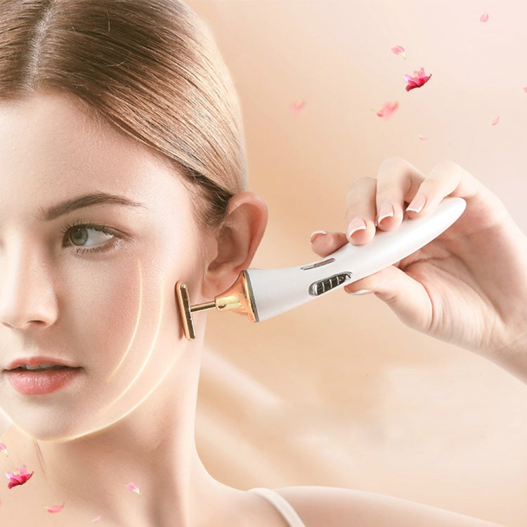 K-SKIN KD9060 Electric Facial Massager Skin Care Lifting Firming Portable Essence Absorption - free shipping - PMC TechLife - Order now!