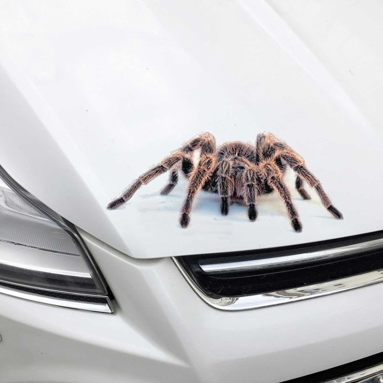 Creative Personality Scratch Cover  Car Body Sticker(Black Spider) - 3D Creative Stickers by PMC TechLife | Online Shopping South Africa | PMC TechLife | Buy Now Pay Later Mobicred