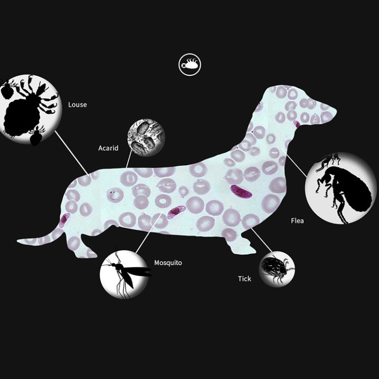 Pet Flea & Anti-Lice Collar Pet In Vitro Insect Repellent Ring, Size:Large Dog/70cm - Collars by PMC TechLife | Online Shopping South Africa | PMC TechLife | Buy Now Pay Later Mobicred