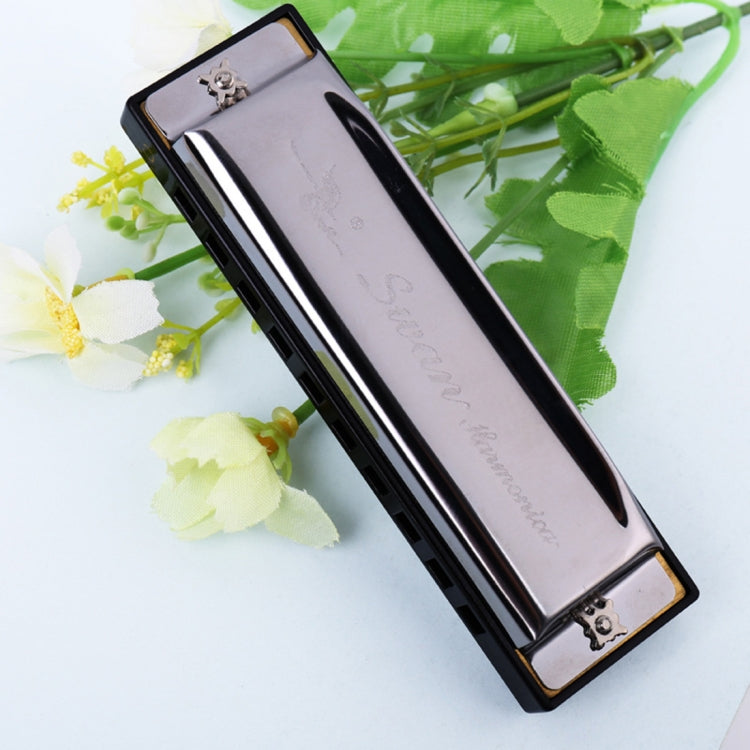 Swan 10 Holes Full-scale Bruce Harmonica Beginner Children Adult Students Playing Musical Instruments - Wind Instruments by PMC TechLife | Online Shopping South Africa | PMC TechLife