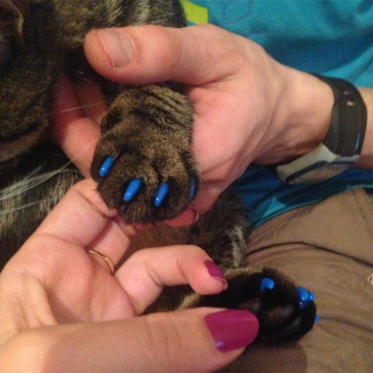 20 PCS Silicone Soft Cat Nail Caps / Cat Paw Claw / Pet Nail Protector/Cat Nail Cover, Size:L(Black) - Protective & Protection by PMC TechLife | Online Shopping South Africa | PMC TechLife | Buy Now Pay Later Mobicred