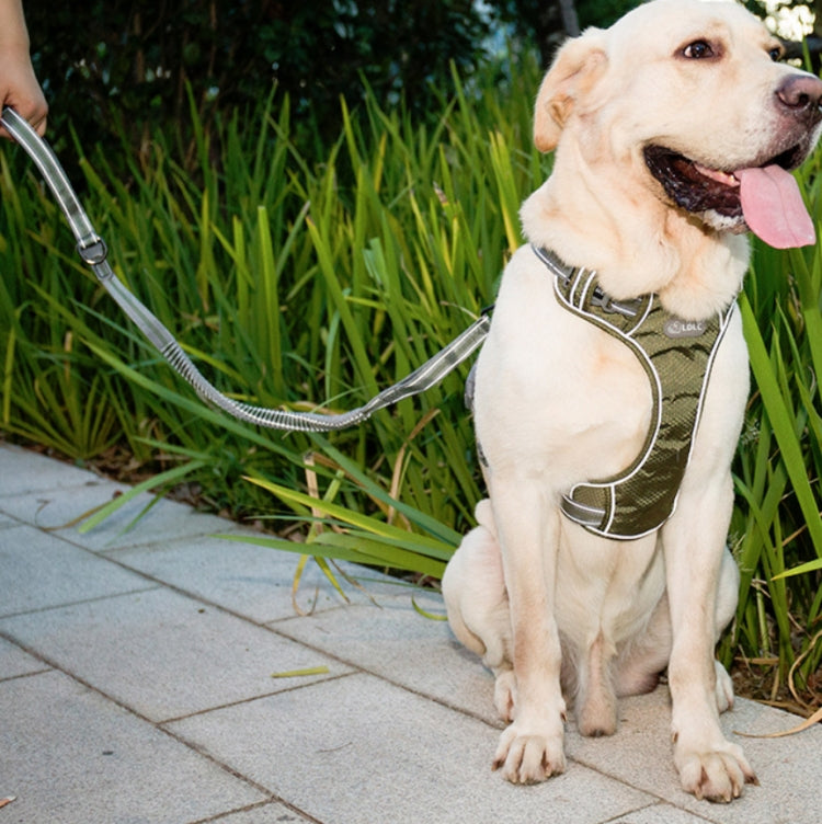 Dog Outdoor Anti-Scourge Traction Rope Nylon Reflective Elastic Stretch Dog Walking Rope( Green) - free shipping - PMC TechLife - Order now!