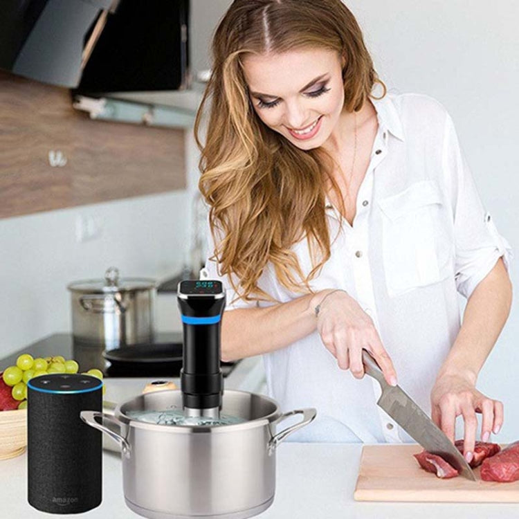 Low Temperature Slow Cooker Thawed Vacuum Steak Machine, Plug Type:EU Plug - free shipping - PMC TechLife - Order now!