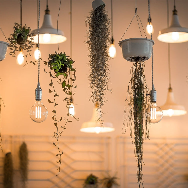 E27 40W Retro Edison Light Bulb Filament Vintage Ampoule Incandescent Bulb, AC 220V(A19 Spirai) - Retro Lights by PMC TechLife | Online Shopping South Africa | PMC TechLife