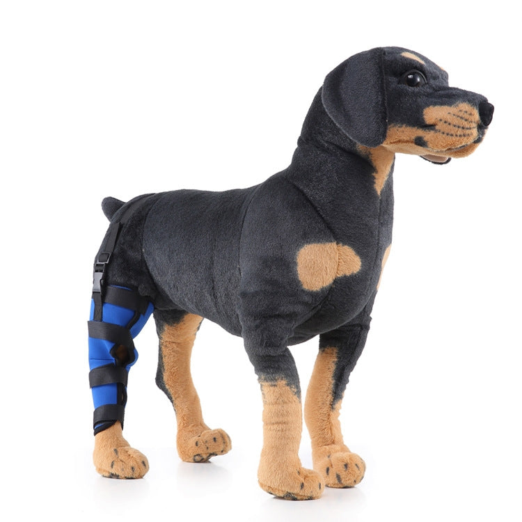 HJ19 Pet Surgery Rehabilitation Back Leg Protector Walking Aids, Size: M(Blue Right Back Leg) - Protector Walking Aids by PMC TechLife | Online Shopping South Africa | PMC TechLife | Buy Now Pay Later Mobicred