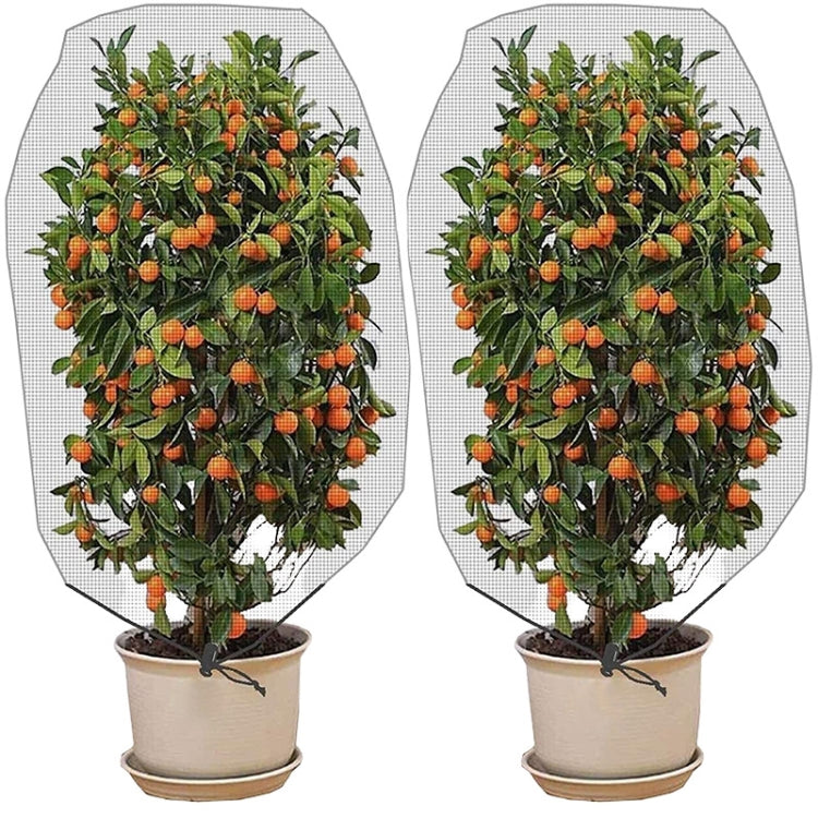 Plant Insect Cover Net With Drawstring Greenhouse Fruit Tree Bird Cover, Size: 1x1.5m(White) - Garden Netting by PMC TechLife | Online Shopping South Africa | PMC TechLife | Buy Now Pay Later Mobicred