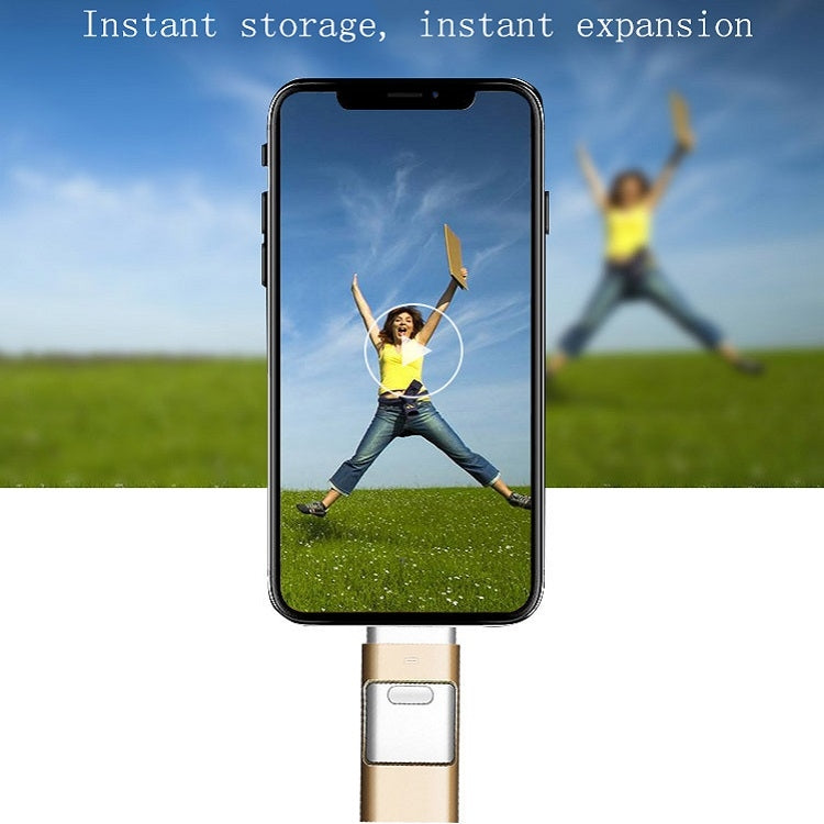 256GB Type-C + 8 Pin + USB 3.0  3 In 1 OTG Metal USB Flash Drive(Black) - U Disk & Card Reader by PMC TechLife | Online Shopping South Africa | PMC TechLife